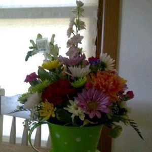 Meet your Posher, Chandra